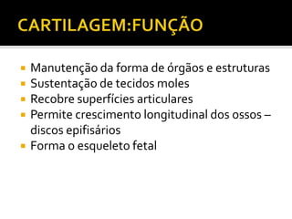  Manutenção da forma de órgãos e estruturas
 Sustentação de tecidos moles
 Recobre superfícies articulares
 Permite crescimento longitudinal dos ossos –
discos epifisários
 Forma o esqueleto fetal
 
