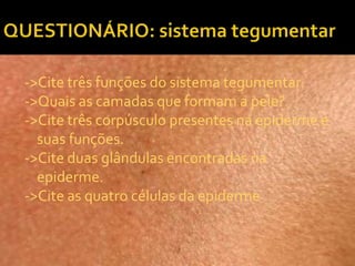 ->Cite três funções do sistema tegumentar.
->Quais as camadas que formam a pele?
->Cite três corpúsculo presentes na epiderme e
suas funções.
->Cite duas glândulas encontradas na
epiderme.
->Cite as quatro células da epiderme
 