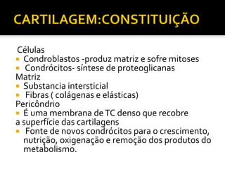 Células
 Condroblastos -produz matriz e sofre mitoses
 Condrócitos- síntese de proteoglicanas
Matriz
 Substancia intersticial
 Fibras ( colágenas e elásticas)
Pericôndrio
 É uma membrana deTC denso que recobre
a superfície das cartilagens
 Fonte de novos condrócitos para o crescimento,
nutrição, oxigenação e remoção dos produtos do
metabolismo.
 