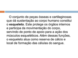 O conjunto de peças ósseas e cartilaginosas
que dá sustentação ao corpo humano constitui
o esqueleto. Este protege os órgãos internos
e participa da movimentação do corpo,
servindo de ponto de apoio para a ação dos
músculos esqueléticos. Além dessas funções,
o esqueleto atua como reserva de cálcio e
local de formação das células do sangue.
 
