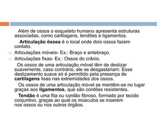 Além de ossos o esqueleto humano apresenta estruturas
associadas, como cartilagens, tendões e ligamentos.
Articulação óssea é o local onde dois ossos fazem
contato.
 Articulações móveis- Ex.: Braço e antebraço.
 Articulações fixas- Ex.: Ossos do crânio.
Os ossos de uma articulação móvel têm de deslizar
suavemente, caso contrário, ele se desgastariam. Esse
deslizamento suave só é permitido pela presença de
cartilagens lisas nas extremidades dos ossos.
Os ossos de uma articulação móvel se mantêm-se no lugar
graças aos ligamentos, que são cordões resistentes.
Tendão é uma fita ou cordão fibroso, formado por tecido
conjuntivo, graças ao qual os músculos se inserem
nos ossos ou nos outros órgãos.
 