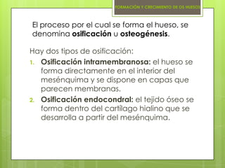 FORMACIÓN Y CRECIMIENTO DE OS HUESOS



El proceso por el cual se forma el hueso, se
denomina osificación u osteogénesis.
...