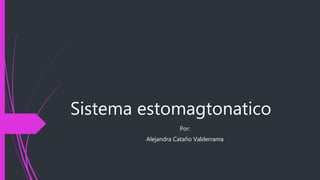 Sistema estomagtonatico
Por:
Alejandra Cataño Valderrama
 