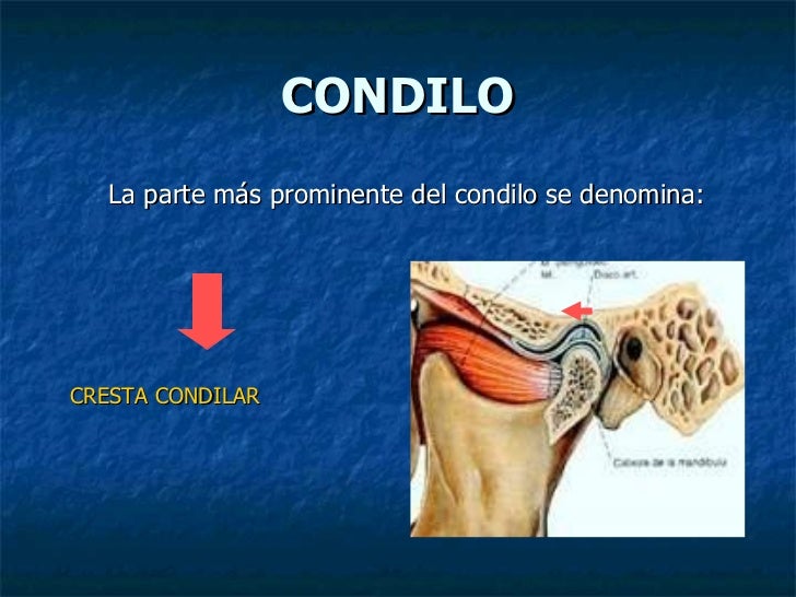 Sistema estomatognatico