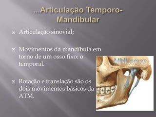    Articulação sinovial;

   Movimentos da mandíbula em
    torno de um osso fixo: o
    temporal.

   Rotação e translação são os
    dois movimentos básicos da
    ATM.
 