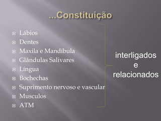   Lábios
   Dentes
   Maxila e Mandíbula
                                     interligados
   Glândulas Salivares
   Língua
                                            e
   Bochechas                       relacionados
   Suprimento nervoso e vascular
   Musculos
   ATM
 