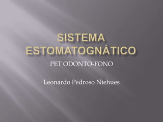 PET ODONTO-FONO

Leonardo Pedroso Niehues
 