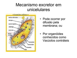 Mecanismo excretor em
    unicelulares

           • Pode ocorrer por
             difusão pela
             membrana; ou

           • Por organóides
             conhecidos como
             Vacúolos contráteis
 