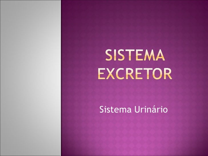 Sistema Urinário   