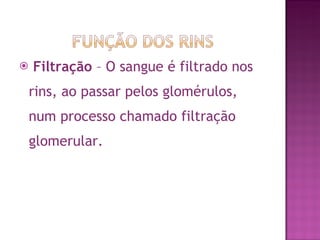 Filtração  – O sangue é filtrado nos rins, ao passar pelos glomérulos, num processo chamado filtração glomerular. 