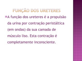 A função dos ureteres é a propulsão da urina por contração peristáltica (em ondas) da sua camada de músculo liso. Esta contração é completamente inconsciente. 