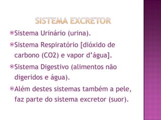 Sistema Urinário (urina). Sistema Respiratório [dióxido de carbono (CO2) e vapor d’água]. Sistema Digestivo (alimentos não digeridos e água). Além destes sistemas também a pele, faz parte do sistema excretor (suor). 