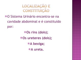 O Sistema Urinário encontra-se na cavidade abdominal e é constituído por: Os rins (dois); Os ureteres (dois); A bexiga; A ureta. 