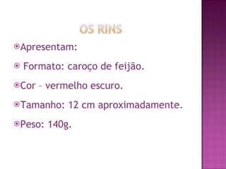 Apresentam: Formato: caroço de feijão. Cor – vermelho escuro. Tamanho: 12 cm aproximadamente. Peso: 140g. 