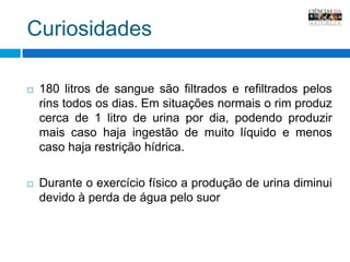Curiosidades180 litros de sangue são filtrados e refiltrados pelos rins todos os dias. Em situações normais o rim produz cerca de 1 litro de urina por dia, podendo produzir mais caso haja ingestão de muito líquido e menos caso haja restrição hídrica.Durante o exercício físico a produção de urina diminui devido à perda de água pelo suor