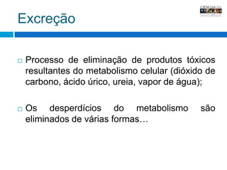 ExcreçãoProcesso de eliminação de produtos tóxicos resultantes do metabolismo celular (dióxido de carbono, ácido úrico, ureia, vapor de água);Os desperdícios do metabolismo são eliminados de várias formas…