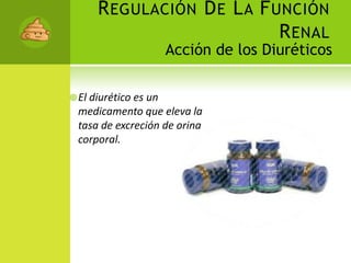 Regulación De La Función RenalAcción de los DiuréticosEl diurético es un medicamento que eleva la tasa de excreción de orina corporal.