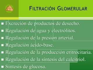 Filtración Glomerular