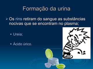 Formação da urina Os  rins  retiram do sangue as substâncias nocivas que se encontram no plasma; Ureia; Ácido úrico. 