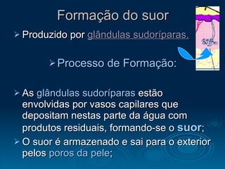 Formação do suor Produzido por  glândulas sudoríparas. Processo de Formação: As  glândulas sudoríparas  estão envolvidas por vasos capilares que depositam nestas parte da água com produtos residuais, formando-se o  suor ;  O suor é armazenado e sai para o exterior pelos  poros da pele ; 