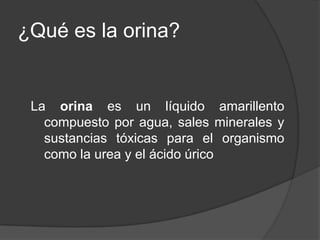 ¿Qué es la orina?La orina es un líquido amarillento compuesto por agua, sales minerales y sustancias tóxicas para el organismo como la urea y el ácido úrico
