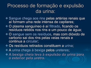 Processo de formação e expulsão da urina: Sangue chega aos rins  pelas artérias renais que aí formam uma rede intensa de capilares; O plasma sanguíneo é aí  filtrado , ficando os resíduos retidos nos rins e um pouco de água; O  sangue sem os resíduos , mas com dióxido de carbono sai dos rins pelas veias renais e continua a  circular ; Os resíduos retirados constituem a  urina ; A  urina chega à bexiga  pelos  ureteres ; A bexiga cheia leva à expulsão da urina para o exterior pela uretra. 