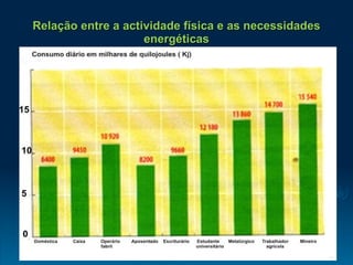 Relação entre a actividade física e as necessidades energéticas 