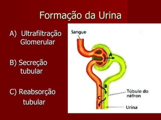 Formação da Urina A)  Ultrafiltração Glomerular B) Secreção tubular C) Reabsorção  tubular 