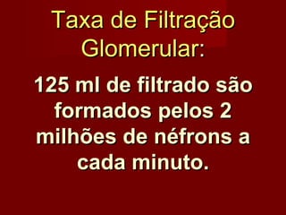 Taxa de Filtração Glomerular : 125 ml de filtrado são formados pelos 2 milhões de néfrons a cada minuto. 