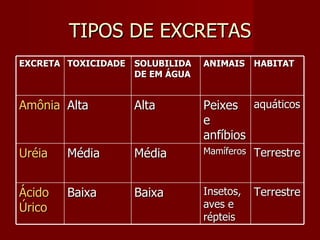 TIPOS DE EXCRETAS EXCRETA TOXICIDADE SOLUBILIDADE EM ÁGUA ANIMAIS HABITAT Amônia Alta Alta Peixes e anfíbios aquáticos Uréia Média Média Mamíferos Terrestre Ácido Úrico Baixa Baixa Insetos, aves e répteis Terrestre 