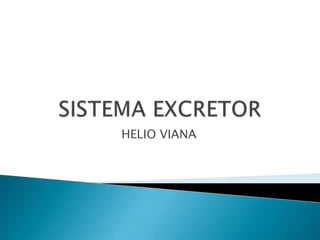 SISTEMA EXCRETOR HELIO VIANA 