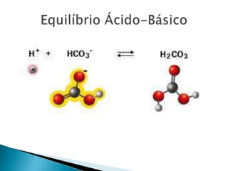 Equilíbrio Ácido-Básico