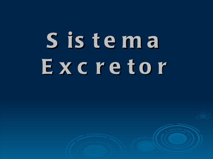 Sistema Excretor 