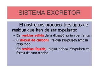 SISTEMA EXCRETOR El nostre cos produeix tres tipus de residus que han de ser expulsats: Els  residus sòlids  de la digestió surten per l’anus El  diòxid de carboni  i l’aigua s’expulsen amb la respiració Els  residus líquids , l’aigua inclosa, s’expulsen en forma de suor o orina 