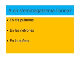 A on s’emmagatzema l’orina? En els pulmons En les nefrones En la bufeta 