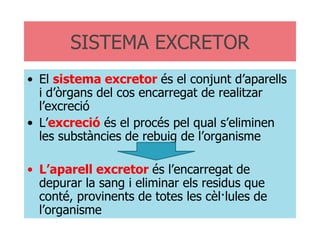 SISTEMA EXCRETOR El  sistema excretor  és el conjunt d’aparells i d’òrgans del cos encarregat de realitzar l’excreció L’ excreció  és el procés pel qual s’eliminen les substàncies de rebuig de l’organisme L’aparell excretor  és l’encarregat de depurar la sang i eliminar els residus que conté, provinents de totes les cèl·lules de l’organisme 