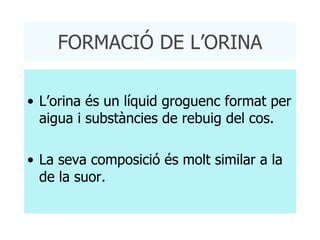 FORMACIÓ DE L’ORINA L’orina és un líquid groguenc format per aigua i substàncies de rebuig del cos. La seva composició és molt similar a la de la suor. 