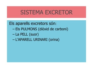 SISTEMA EXCRETOR Els aparells excretors són : Els PULMONS (diòxid de carboni) La PELL (suor) L’APARELL URINARI (orina) 