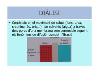 DIÀLISI Consisteix en el moviment de soluts (ions, urea, cratinina, àc. úric,..) i de solvents (aigua) a través dels porus d’una membrana semipermeable seguint els fenòmens de difusió, osmosi i filtració 