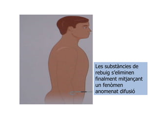 Les substàncies de rebuig s’eliminen finalment mitjançant un fenòmen anomenat difusió 