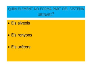 QUIN ELEMENT NO FORMA PART DEL SISTEMA URINARI ? Els alveols Els ronyons Els urèters 