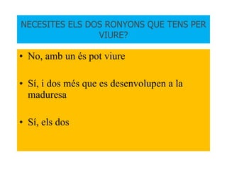 NECESITES ELS DOS RONYONS QUE TENS PER VIURE? No, amb un és pot viure Sí, i dos més que es desenvolupen a la maduresa Sí, els dos 