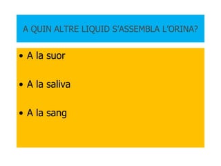 A QUIN ALTRE LIQUID S’ASSEMBLA L’ORINA? A la suor A la saliva A la sang 