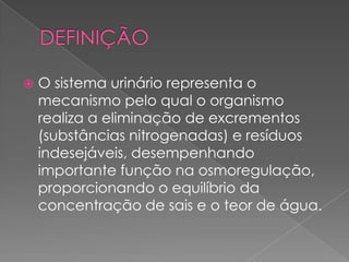 DEFINIÇÃOO sistema urinário representa o mecanismo pelo qual o organismo realiza a eliminação de excrementos (substâncias nitrogenadas) e resíduos indesejáveis, desempenhando importante função na osmoregulação, proporcionando o equilíbrio da concentração de sais e o teor de água. 