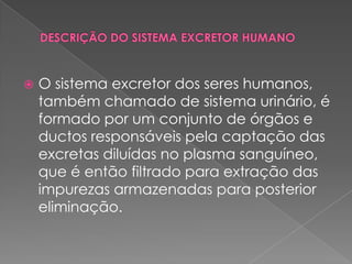 DESCRIÇÃO DO SISTEMA EXCRETOR HUMANOO sistema excretor dos seres humanos, também chamado de sistema urinário, é formado por um conjunto de órgãos e ductos responsáveis pela captação das excretas diluídas no plasma sanguíneo, que é então filtrado para extração das impurezas armazenadas para posterior eliminação. 