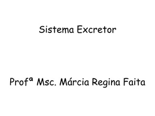 Sistema Excretor Profª Msc. Márcia Regina Faita 