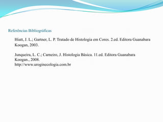 Referências Bibliográficas

   Hiatt, J. L.; Gartner, L. P. Tratado de Histologia em Cores. 2.ed. Editora Guanabara
   Koogan, 2003.

   Junqueira, L. C.; Carneiro, J. Histologia Básica. 11.ed. Editora Guanabara
   Koogan., 2008.
   http://www.uroginecologia.com.br
 
