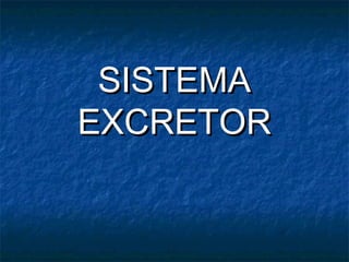 SISTEMA
EXCRETOR
 