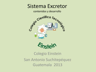 Sistema Excretor
    contenidos y desarrollo




     Colegio Einstein
San Antonio Suchitepéquez
     Guatemala 2013
 