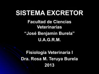 SISTEMA EXCRETOR
   Facultad de Ciencias
       Veterinarias
  “José Benjamin Burela”
        U.A.G.R.M.

   Fisiología Veterinaria I
 Dra. Rosa M. Teruya Burela
            2013
 